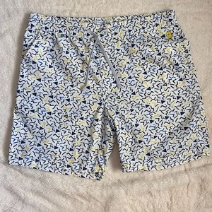 Cactus Man Ricky Singh Shorts Sz. XL 100% Cotton Fun Abstract Print